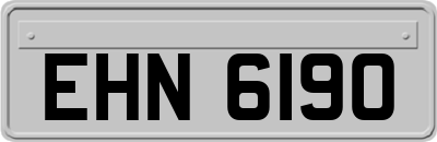 EHN6190
