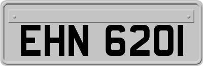 EHN6201