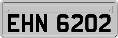 EHN6202
