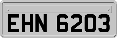 EHN6203