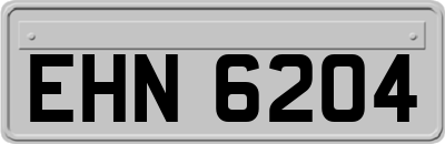 EHN6204
