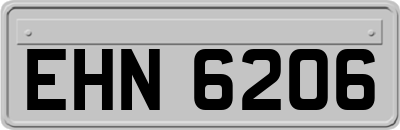 EHN6206