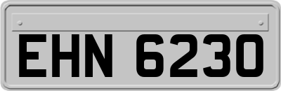 EHN6230
