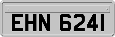EHN6241