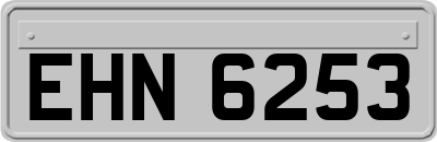 EHN6253