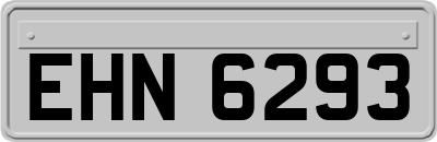 EHN6293