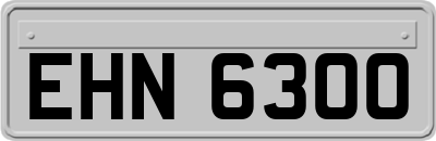 EHN6300