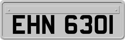 EHN6301