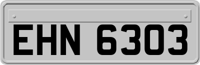 EHN6303