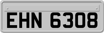 EHN6308