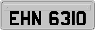 EHN6310