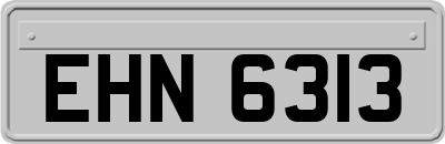 EHN6313