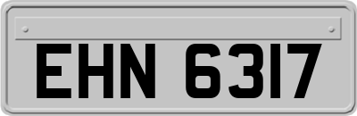 EHN6317
