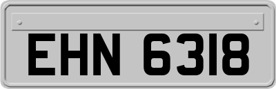 EHN6318