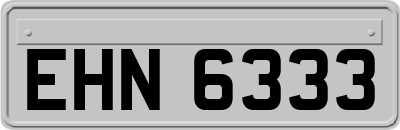 EHN6333