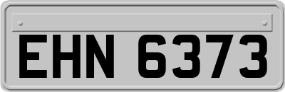 EHN6373