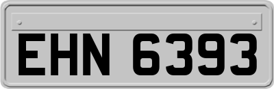 EHN6393