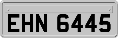 EHN6445