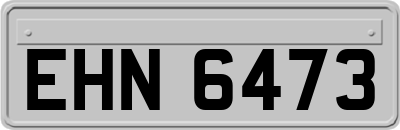 EHN6473