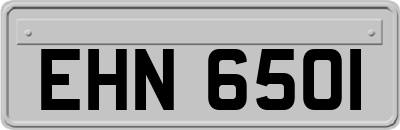 EHN6501