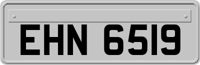 EHN6519