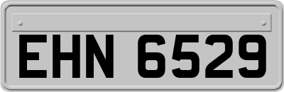 EHN6529