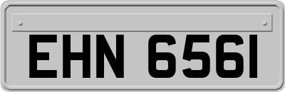 EHN6561