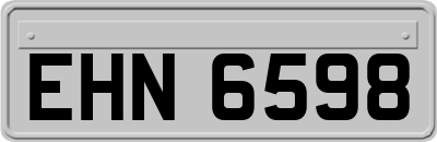 EHN6598