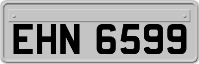 EHN6599