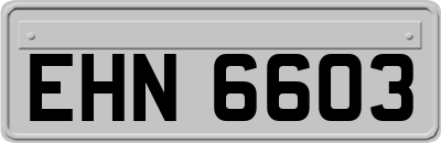 EHN6603