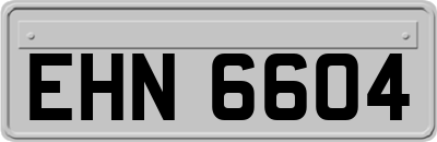 EHN6604