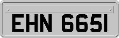 EHN6651