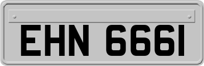 EHN6661