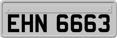 EHN6663