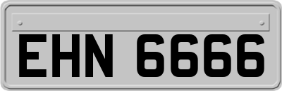 EHN6666