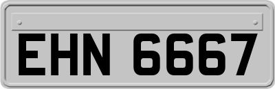 EHN6667