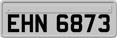 EHN6873