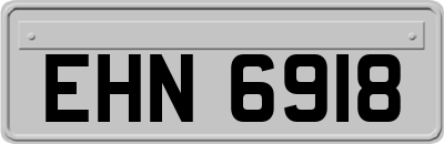 EHN6918