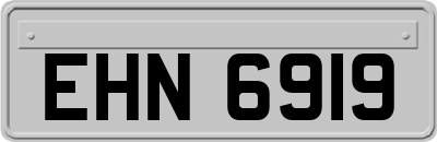 EHN6919