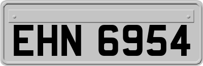 EHN6954