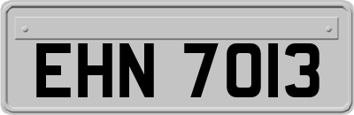 EHN7013