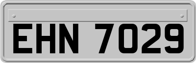 EHN7029