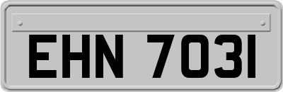 EHN7031