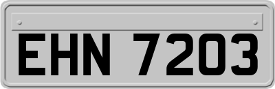 EHN7203
