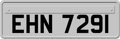 EHN7291