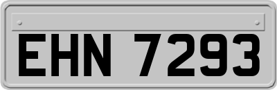 EHN7293