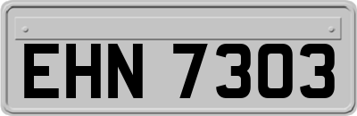 EHN7303