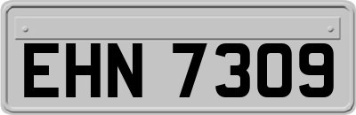 EHN7309