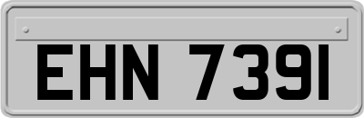 EHN7391