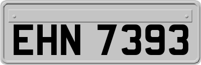 EHN7393